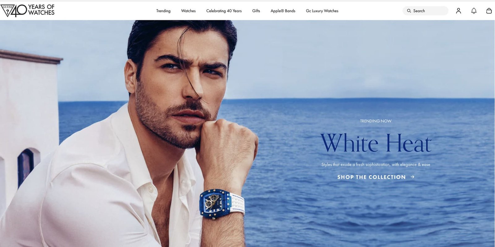 Guess Watches Private Label Watch Manufacturers